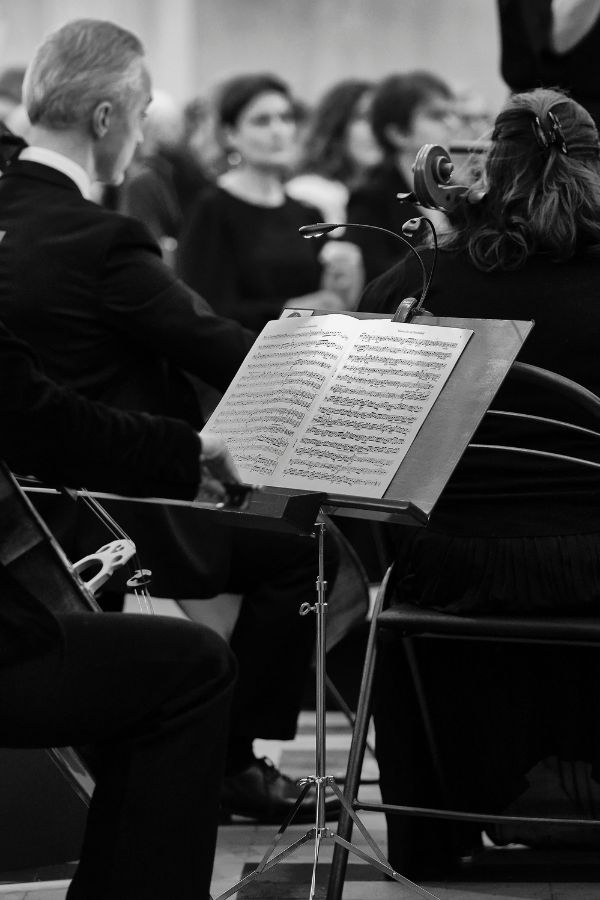 Concert Noyal-sur-Vilaine - Novembre 2022 - Orchestre symphonique Ars Juvenis - Pupitre violoncelles - © Pierre Petron